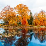 Queenstown Autumn